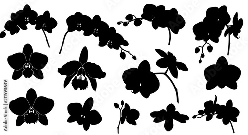 Collection of black orchid silhouettes on white background with illustration botanical graphic element flower design plant icon set