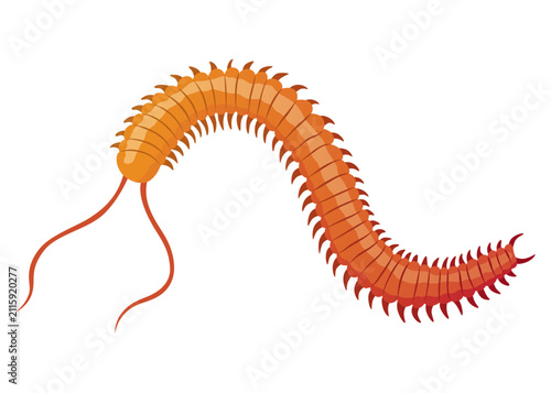 Foto Colorful segmented marine worm illustration with feathery antennae, tapering tai