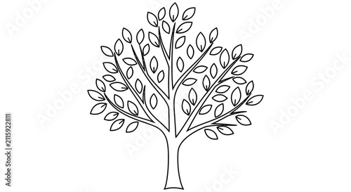 Photography Line art tree with foliage simple black and white illustration on a white backgr