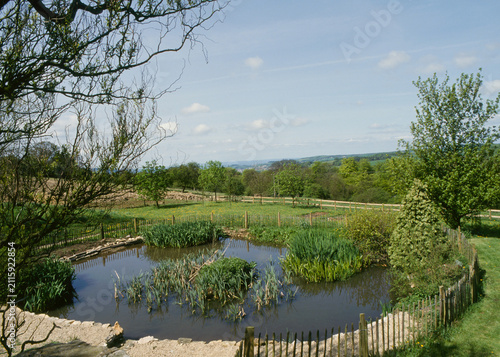 Foto Garden pond fenced off
