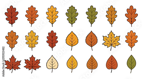 Colorful autumn leaves collection isolated on white background
