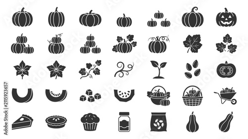 Autumn harvest pumpkin and seasonal vegetable icons vector set