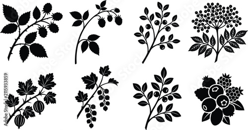Foto Berry branches vector silhouette set featuring raspberry blueberry blackberry cu