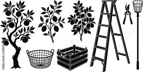 Collection of black and white fruit tree and orchard harvesting equipment vector silhouettes
