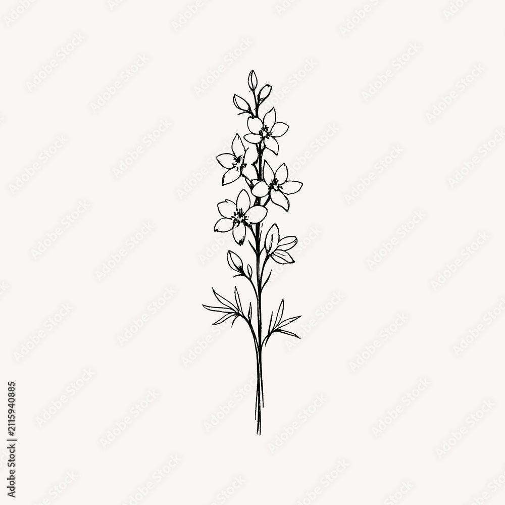 Fototapeta premium Minimalist line drawing of a delicate flower on a plain background.