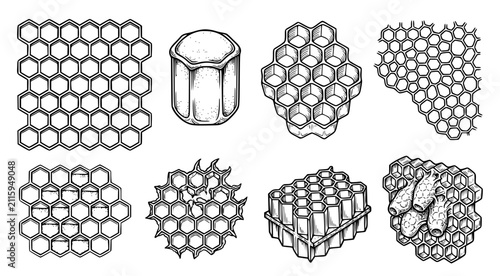 Collection of honeycomb structures and hexagonal bee hive elements in a clean black and white ink illustration style