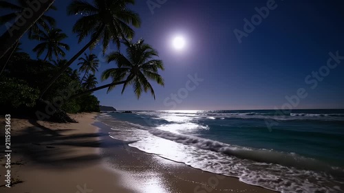 Tranquil tropical night beach scene with moonlit palms and shimmering ocean