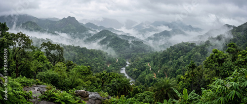 Misty Western Ghats mountain landscape in Kerala with dense tropical forests rolling hills low clouds and peaceful monsoon atmosphere in South India