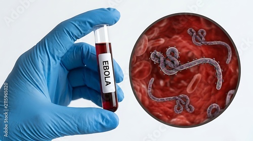 Gloved hand holding a test tube labeled ebola isolated on white background