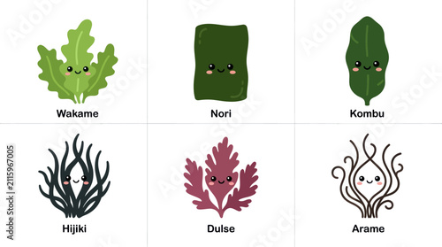 Assorted seaweed varieties with cute faces