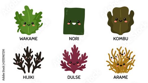 Assortment of cute seaweed varieties