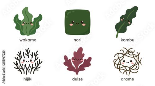Assortment of cute seaweeds in different shapes