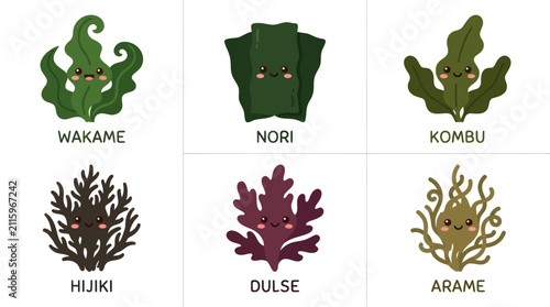 Assortment of edible seaweed varieties