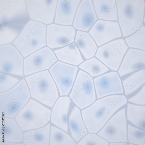 Foto Microscopic view of cells with nuclei