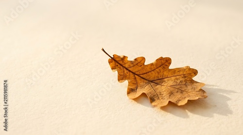 Autumn Oak Leaf with Detailed Veins on a Textured Beige Surface