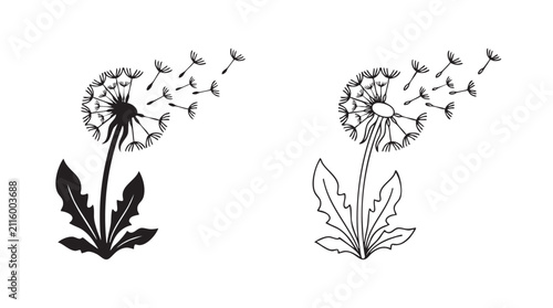 Fotografía dandelion seeds blowing black silhouette outline art vector icon black silhouett