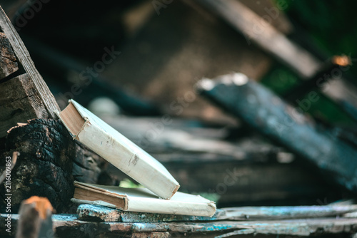 Close view of damaged books with torn covers resting on charred beams and logs after rural barn fire, with blurred debris, muted green tones, and somber textures across scene, with book, burnt