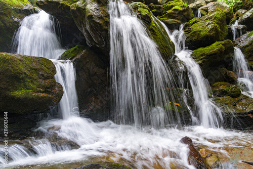 Nature's tranquility and clean water, waterfall cascading over mossy rocks in a forest