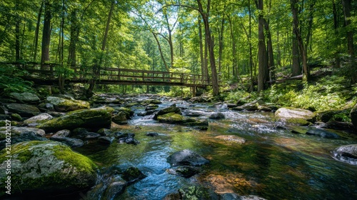 Wooden footbridge over a bright creek in a lush Pennsylvania forest
