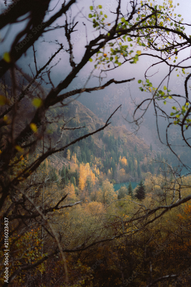 Fototapeta premium Autumn landscape at Lake Issyk with turquoise water, colorful yellow trees and mountain background in Kazakhstan