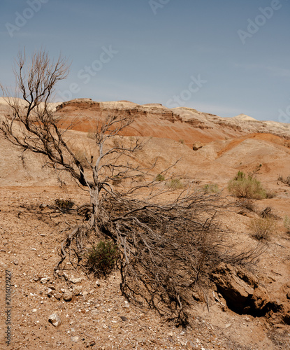 Red mountains Aktau in Altyn Emel National Park in Kazakhstan, scenic desert landscape