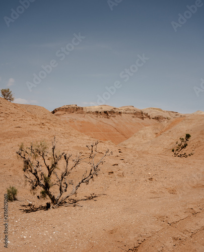 Red mountains Aktau in Altyn Emel National Park in Kazakhstan, scenic desert landscape