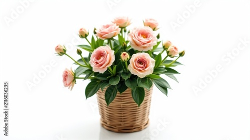 Planta ornamental con flores en tonos pastel, en una maceta de cesta de fibra natural trenzada