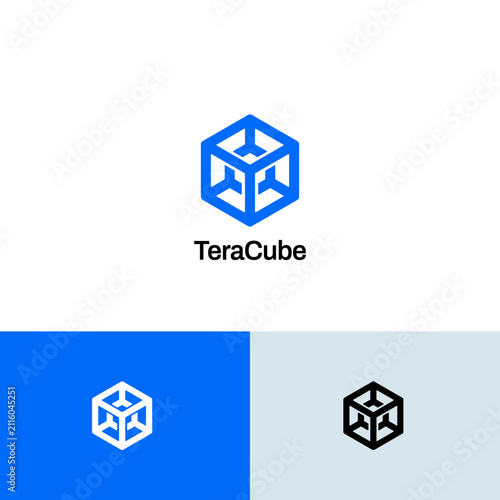 Simple Geometric Wired Cube Box Technology Logo Design Template