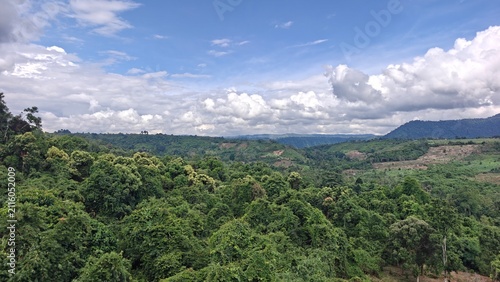 Lush Green Forest Landscape Under Bright Blue Sky with Clouds