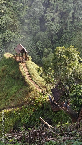 Scenic Wooden Cabin Pathway in Lush Green Jungle Landscape