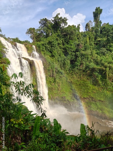 Majestic Waterfall Surrounded by Lush Green Jungle and Rainbow