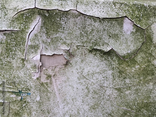 Photography Peeling white paint and hairline crack on weathered mossy wall