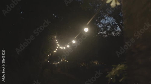 Warm globe string lights hang from branches in a dark forest at night as the camera moves slowly, creating a cozy atmosphere