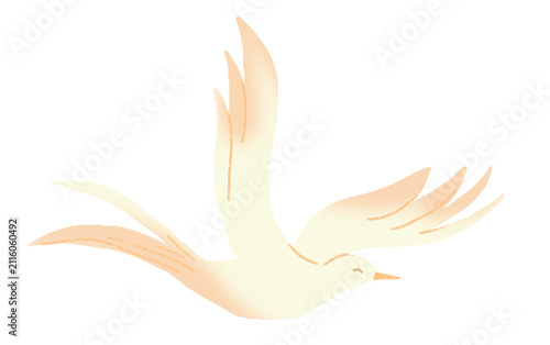 vector illustration of a Phoenix bird