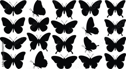 Butterfly Silhouette Collection with Flying Butterfly Shapes and Side View Designs Isolated on White Background