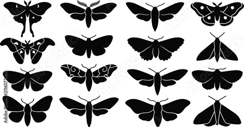 Moth Silhouette Collection with Flying Nocturnal Insect Shapes Isolated on White Background Vector Set