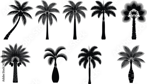 Tropical Palm Tree Silhouette Collection Set Isolated on White Background Vector Style
