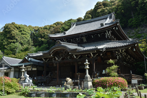 Cuadro en lienzo 春の三室戸寺　サツキが咲く頃の本堂(京都府宇治市)