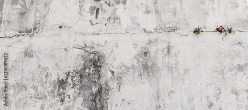 white painted wall