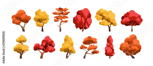 Autumn trees with yellow, red, orange crowns, set. Deciduous forest plants wi...