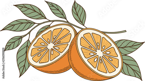 Картината върху платно Fresh orange fruit halves featuring vibrant color, natural texture, and realistic citrus details