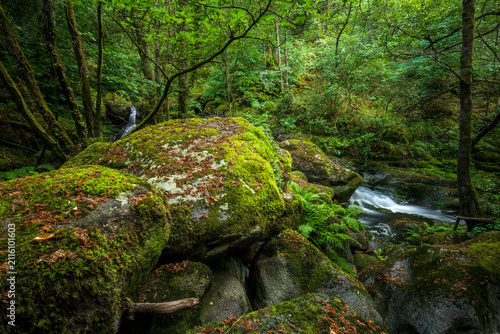 Konstfotografi Idyllic waterfalls on the River Edo in Castro Caldelas, Ourense, Galicia, Spain