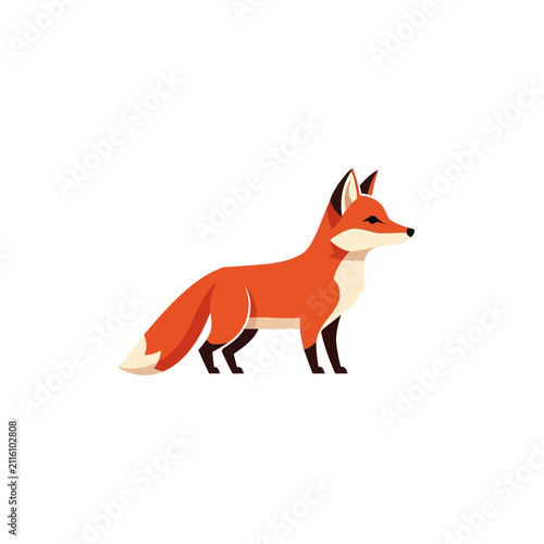 Cartoon Fox Illustration