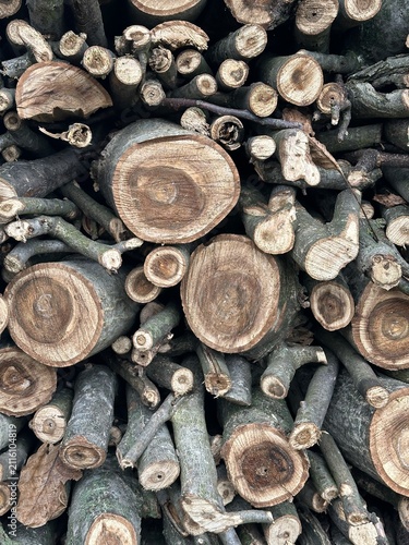 nut wood firewood prepared for the winter