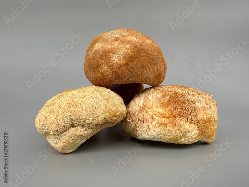 handfuls of dried Lion's Mane a medicinal nootropic mushroom