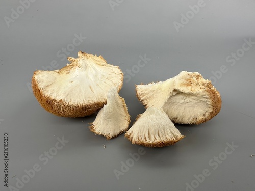 The king of mushrooms Lion's Mane improves mental abilities and acts as a nootropic