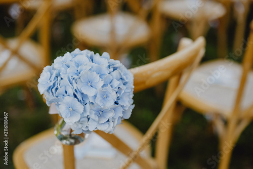 Bouquet d'hortensias bleu décorant les chaises de la cérémonie laïque