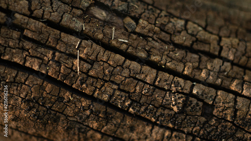 Texture of old dark tree bark.