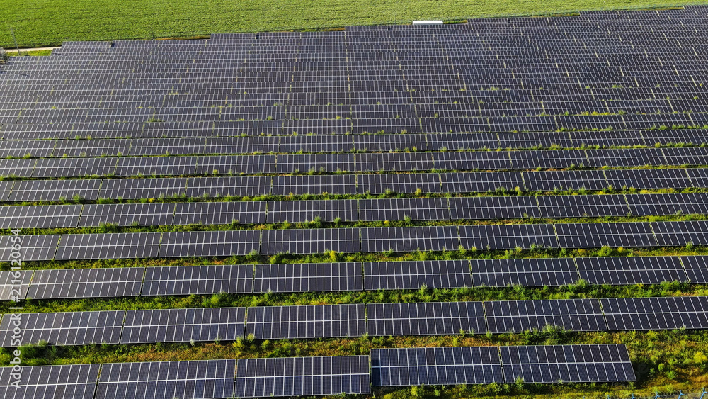 Obraz premium Photovoltaic panels spanning the field harvest solar energy, delivering sustainable electricity and supporting green technology