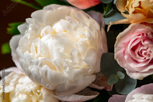 Macro shot of fresh bunch of peonies bouquet of different colors. Card Concept, gentle abstract floral background image, close up, shallow DoF